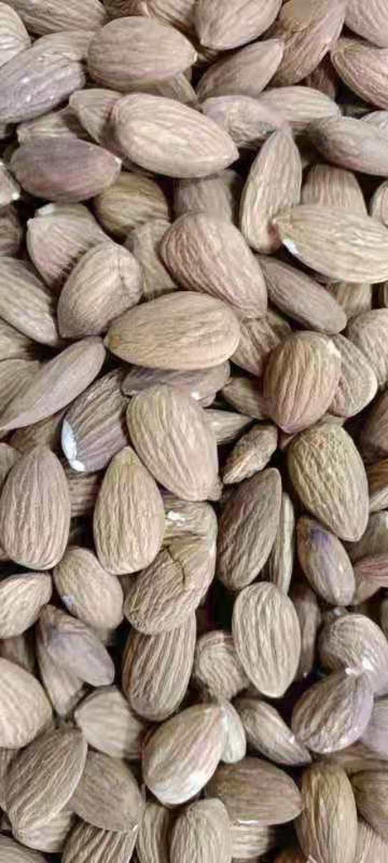 批发生果【进口巴旦木仁】生杏仁适用于做药用材料和各项食品
