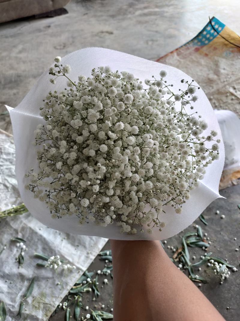 精品花卉满天星干花花束