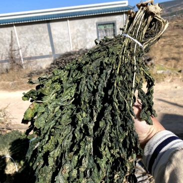 萝卜叶，风干萝卜叶，出口级萝卜叶，碎梅干菜替代品
