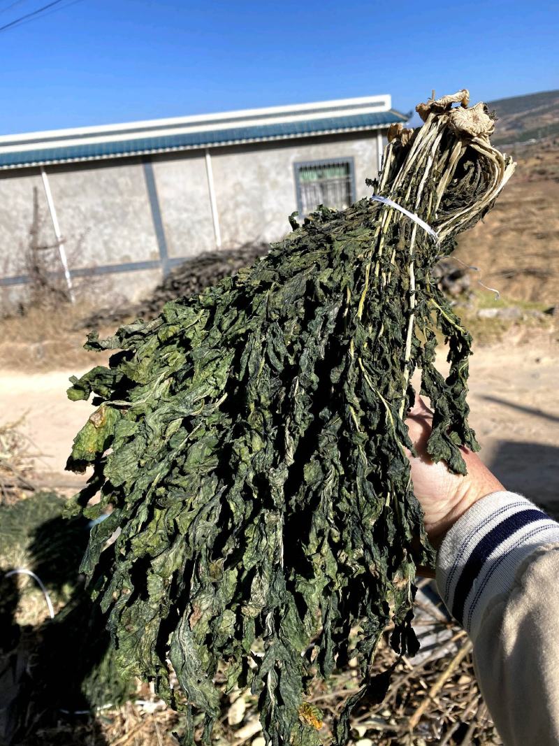 萝卜叶，风干萝卜叶，出口级萝卜叶，碎梅干菜替代品