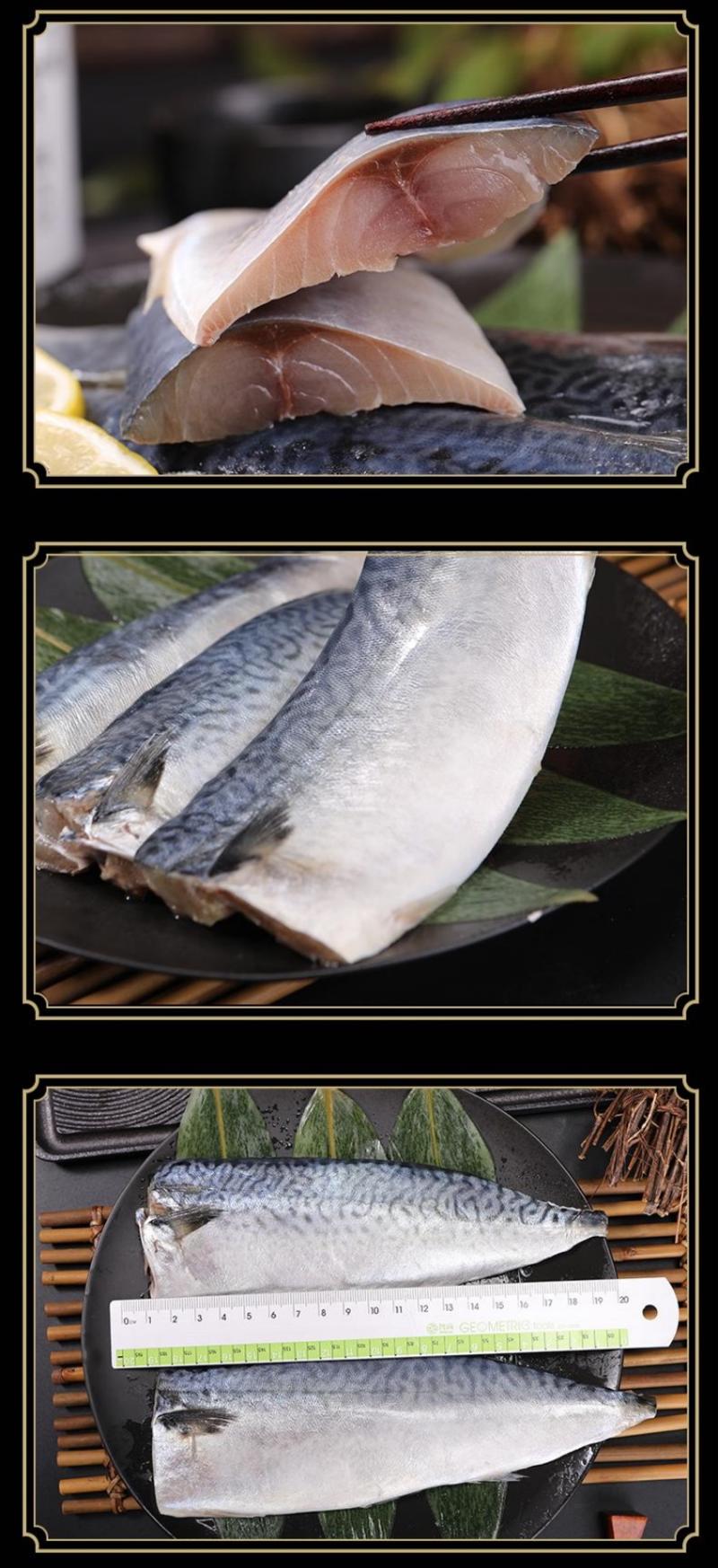青花鱼鲐鱼片一件批发发顺丰包邮，可试吃可批