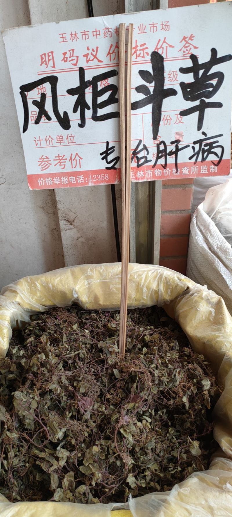 野生风柜斗草今年新货风鼓草野生风柜斗草风谷草烤干货