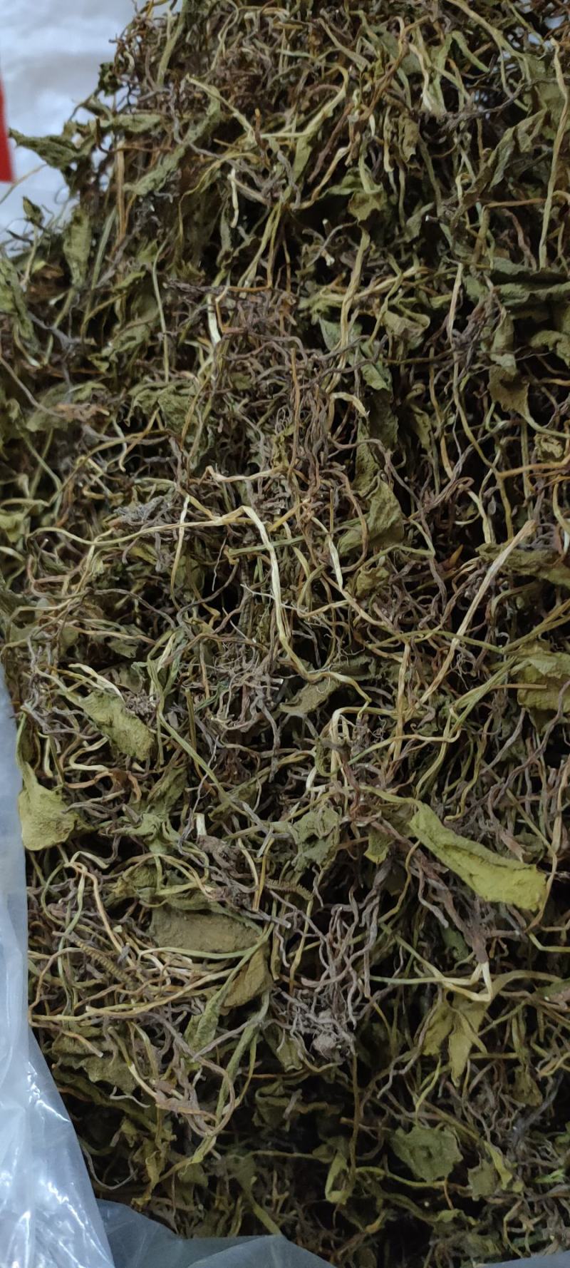 野生中药材，带根一支箭，蛇须草蛇咬子，新货足干