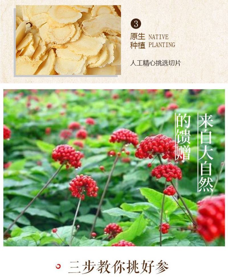 西洋参切片花旗参段长白山含片泡茶礼盒非野生整枝人参片