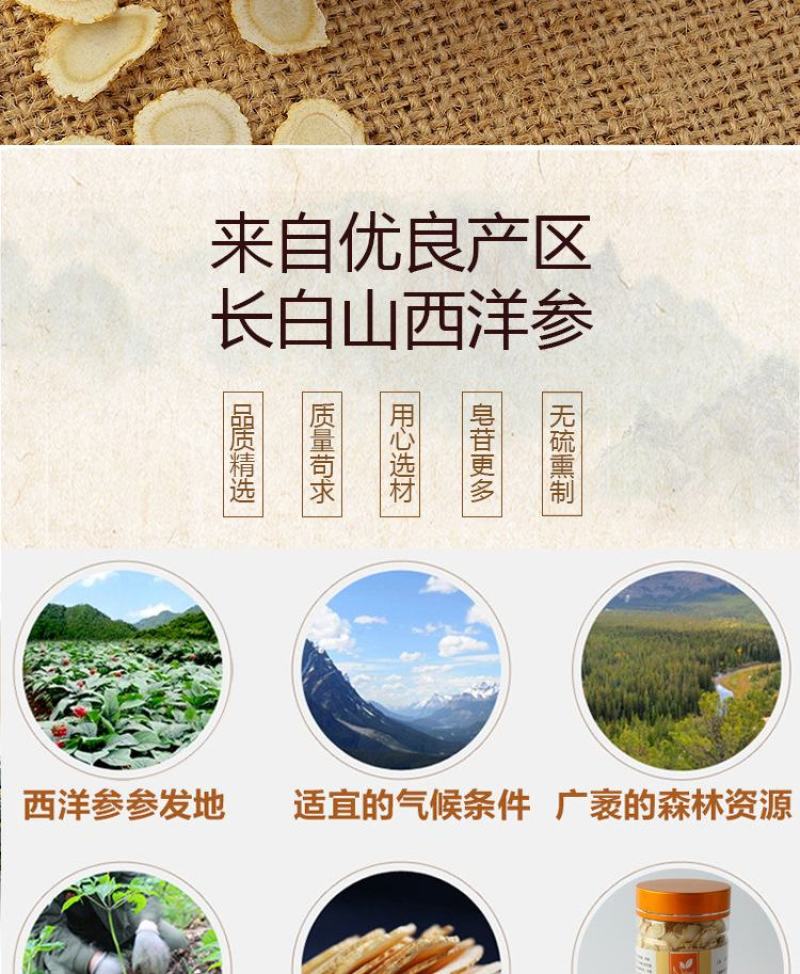 西洋参切片花旗参段长白山含片泡茶礼盒非野生整枝人参片
