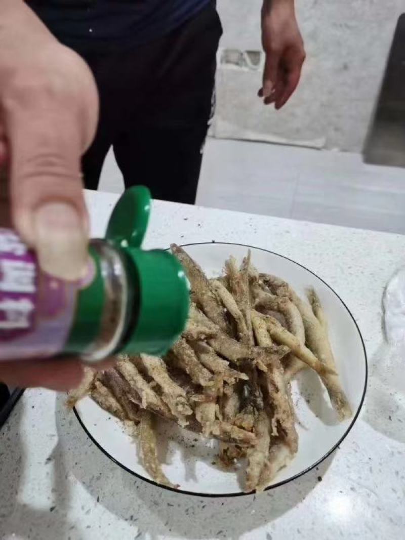 玉筋鱼
