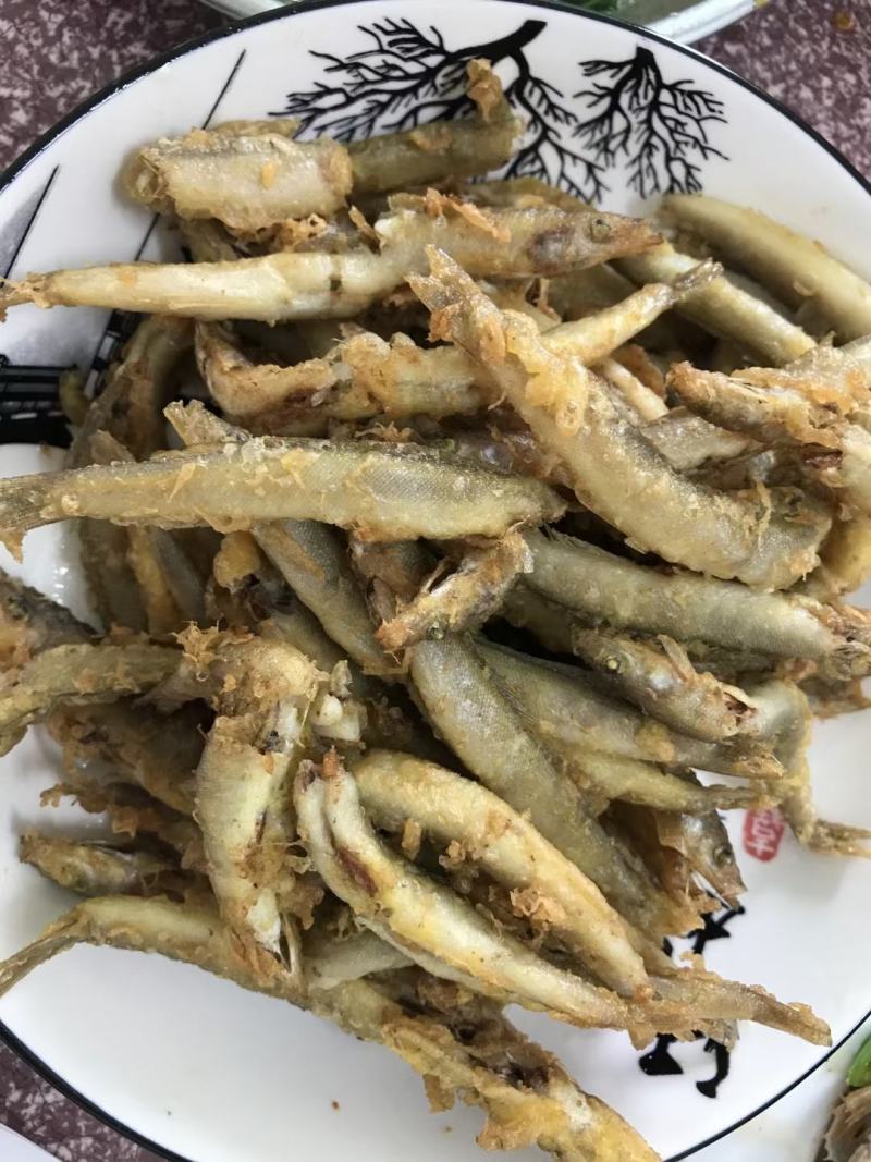 玉筋鱼