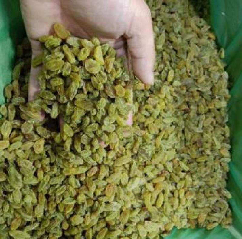 新疆特产绿宝石大颗粒葡萄干厂家直供品质好