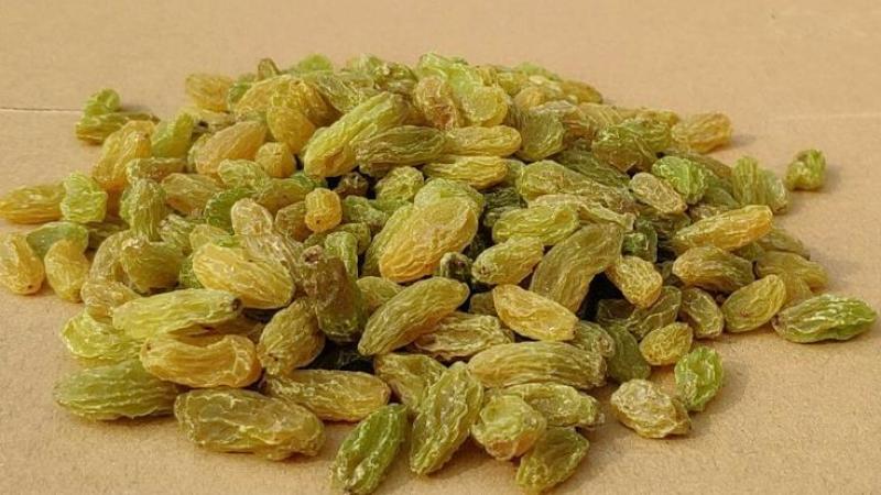 新疆特产绿宝石大颗粒葡萄干厂家直供品质好