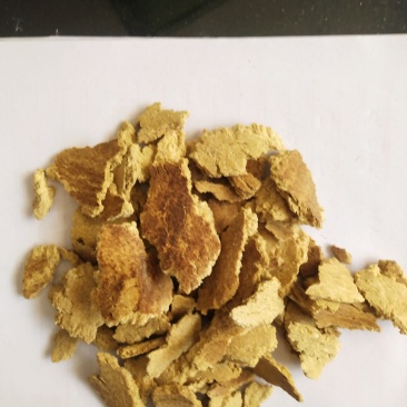 玉米胚芽饼