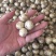 野蒜苗小根蒜野葱苦藠薤白野蒜根种