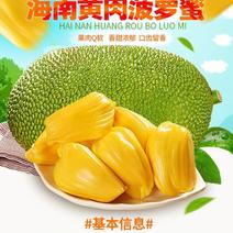 海南【黄肉菠萝蜜】产地直发30斤热带水果