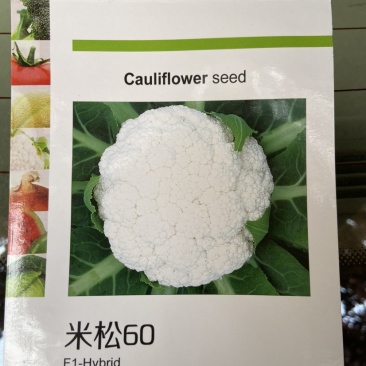 米松60，耐热松花菜种子