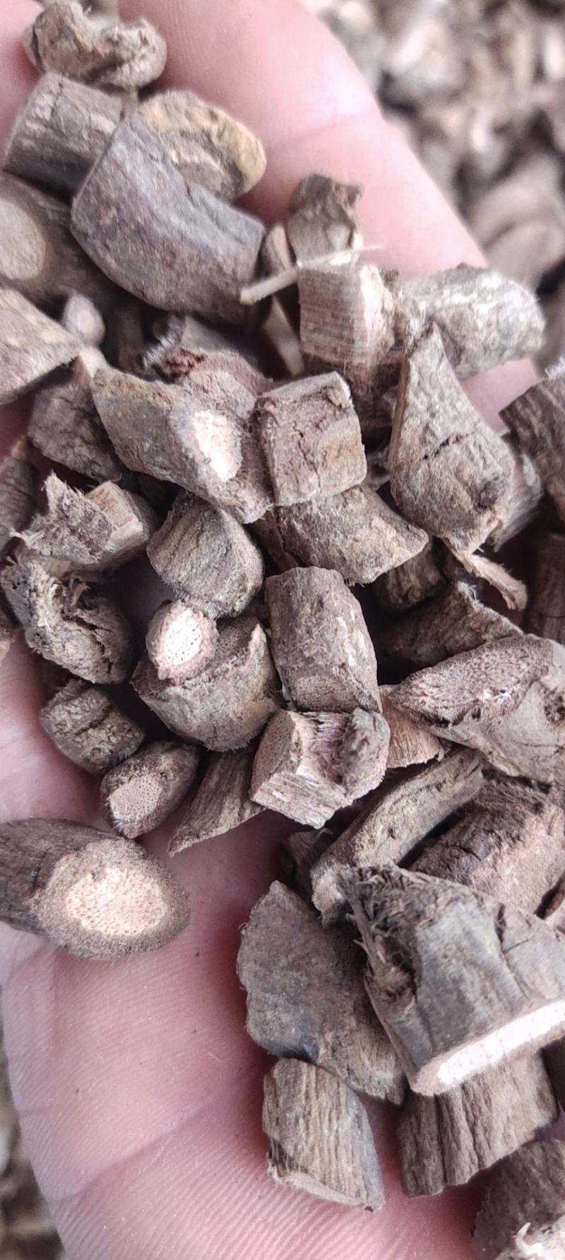 无硫黑老虎根钻骨风冷饭团根钻山风新货真货阴枝