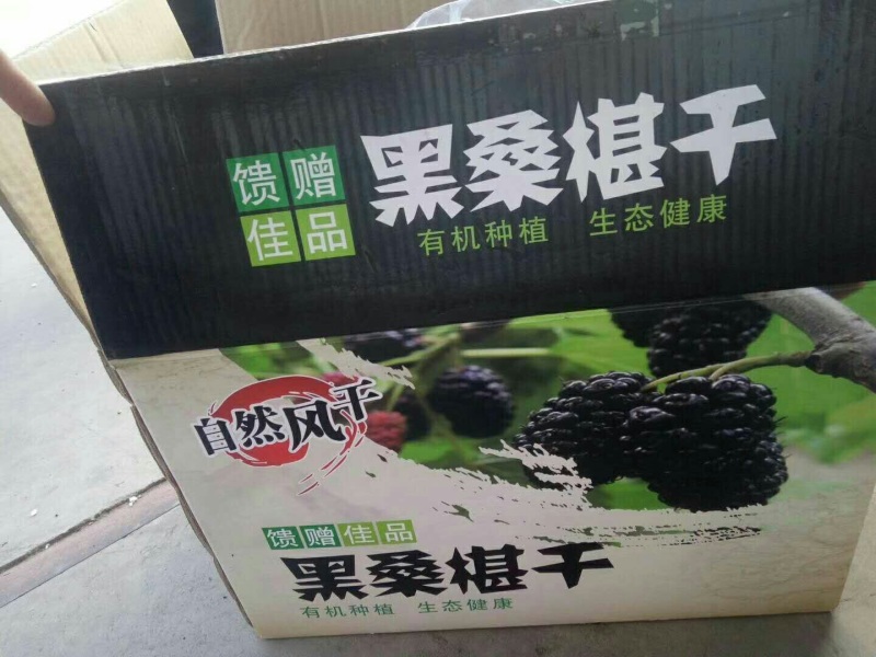 无沙桑椹干厂家直供一手货源品质超好价格低