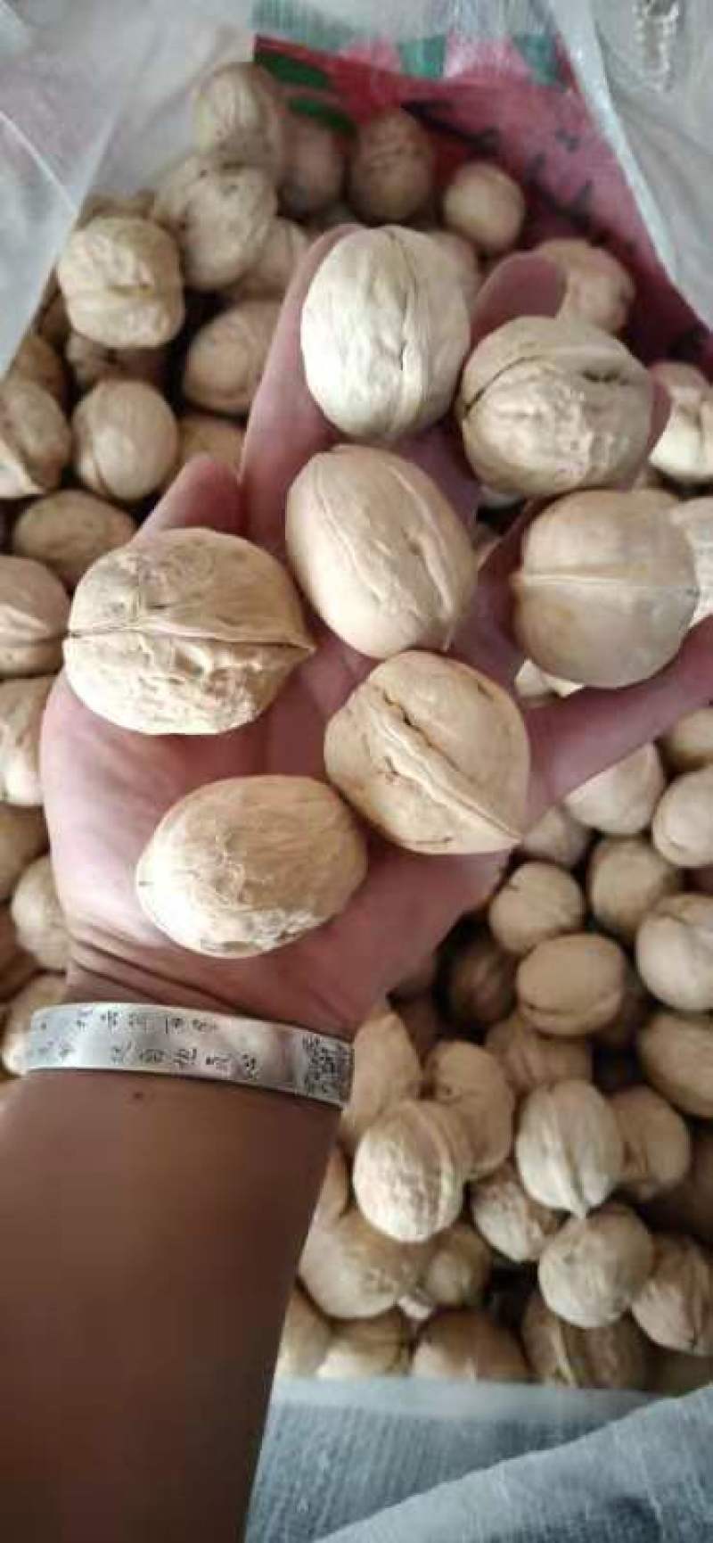 新疆薄皮核桃纸皮核桃电商产品厂家量大