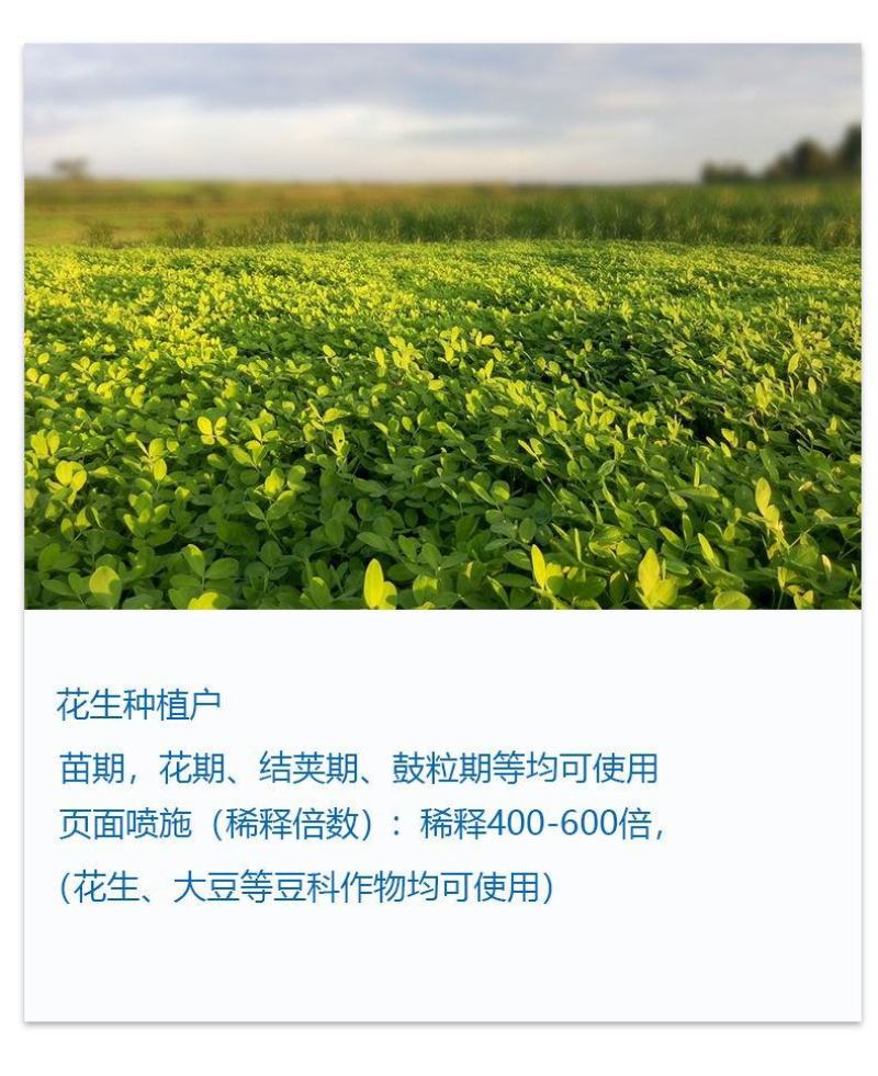磷酸二氢钾西瓜辣椒小麦番茄红薯99%高磷高钾