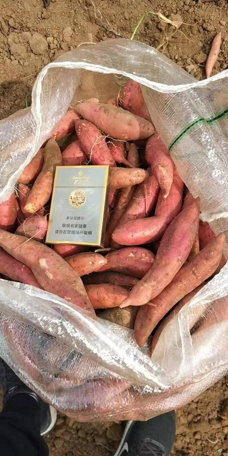 【精品红薯】西瓜红红薯产地直发，货源稳定，品质保证