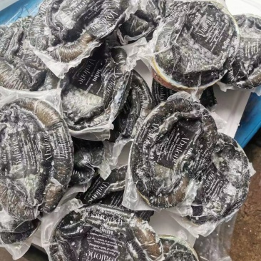 黑金鲍鱼，一只一斤左右