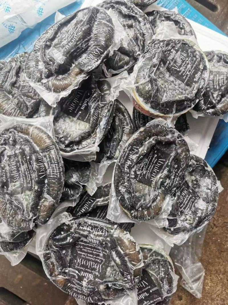 黑金鲍鱼，一只一斤左右