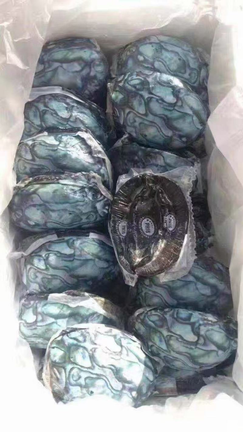 黑金鲍鱼，一只一斤左右