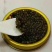 大连工厂直销8年以上鲟鱼籽酱一盒10g