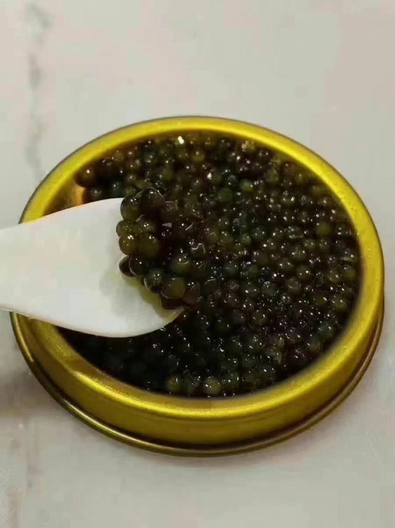 大连工厂直销8年以上鲟鱼籽酱一盒10g