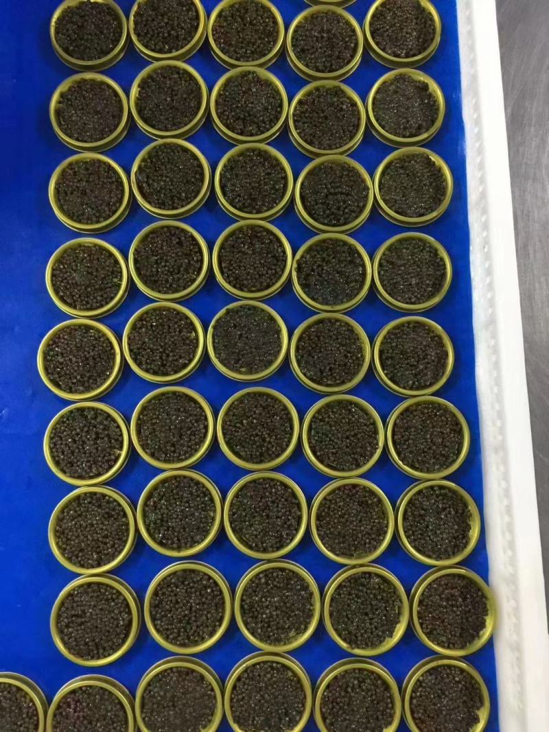 大连工厂直销8年以上鲟鱼籽酱一盒10g