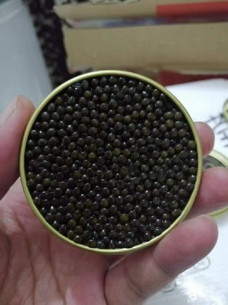 大连工厂直销8年以上鲟鱼籽酱一盒10g