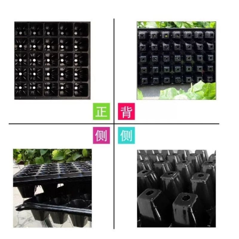 蔬菜育苗穴盘中药材塑料穴盘规格齐全全国包邮