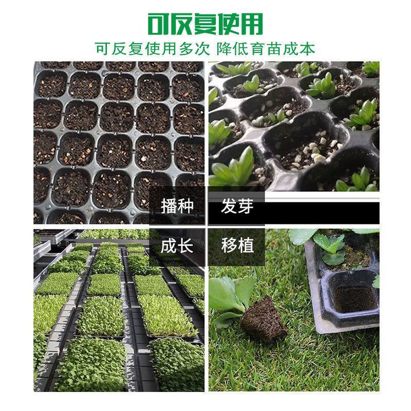 蔬菜育苗穴盘中药材塑料穴盘规格齐全全国包邮