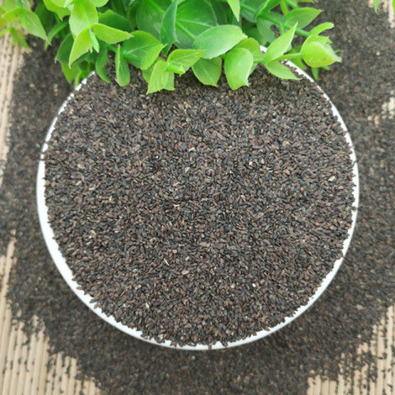 车前子无硫新货车前子农家自产车前子包邮500g