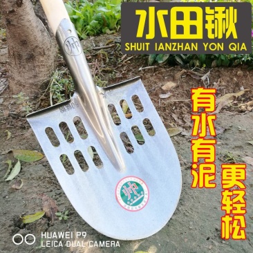 锰钢漏水锹淬火农用铁锨铁锹钢锹铲稻芽铲稻田专用水田锹包邮