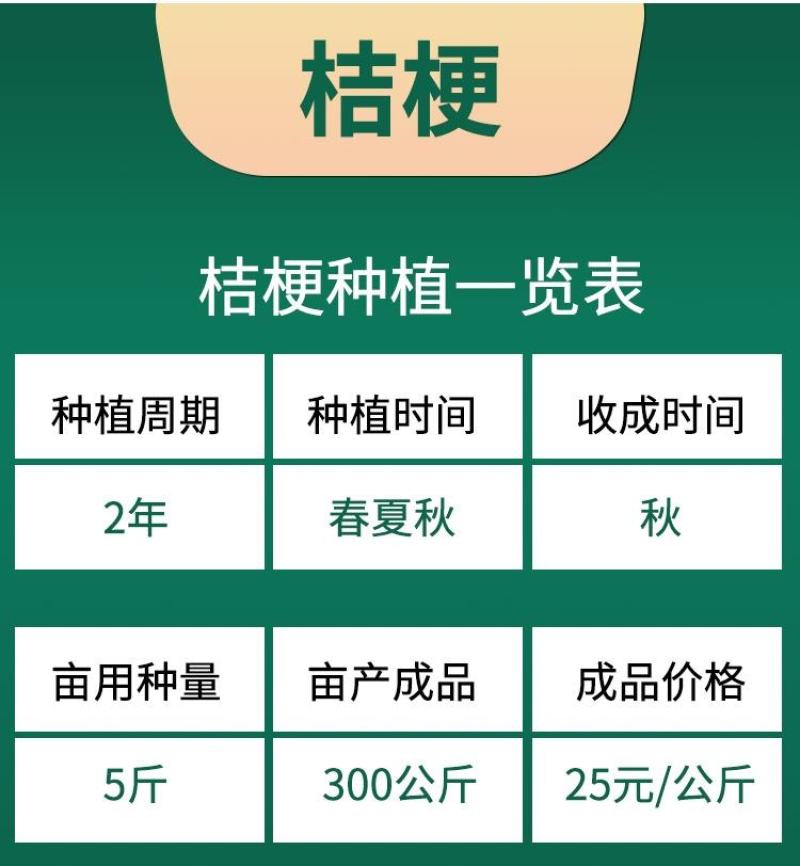 纯新桔梗种子，四季种植品种，纯新籽出苗率在95%以上