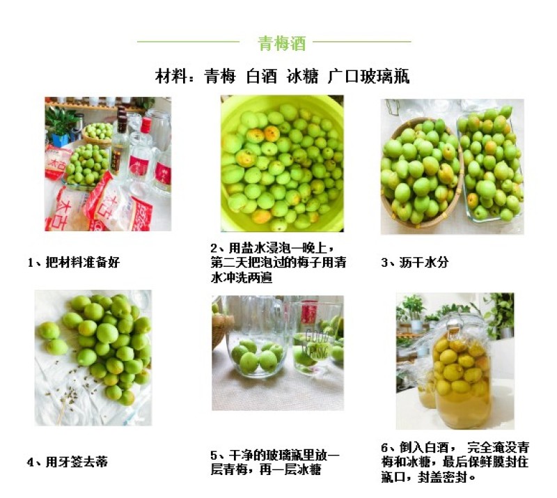 福建诏安新鲜青梅果现摘现发泡酒酸甜孕妇爱吃
