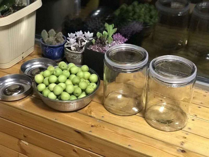 福建诏安新鲜青梅果现摘现发泡酒酸甜孕妇爱吃