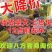 毛桃美佳红不软小红桃突围，美脆3个一斤，肉红果靓