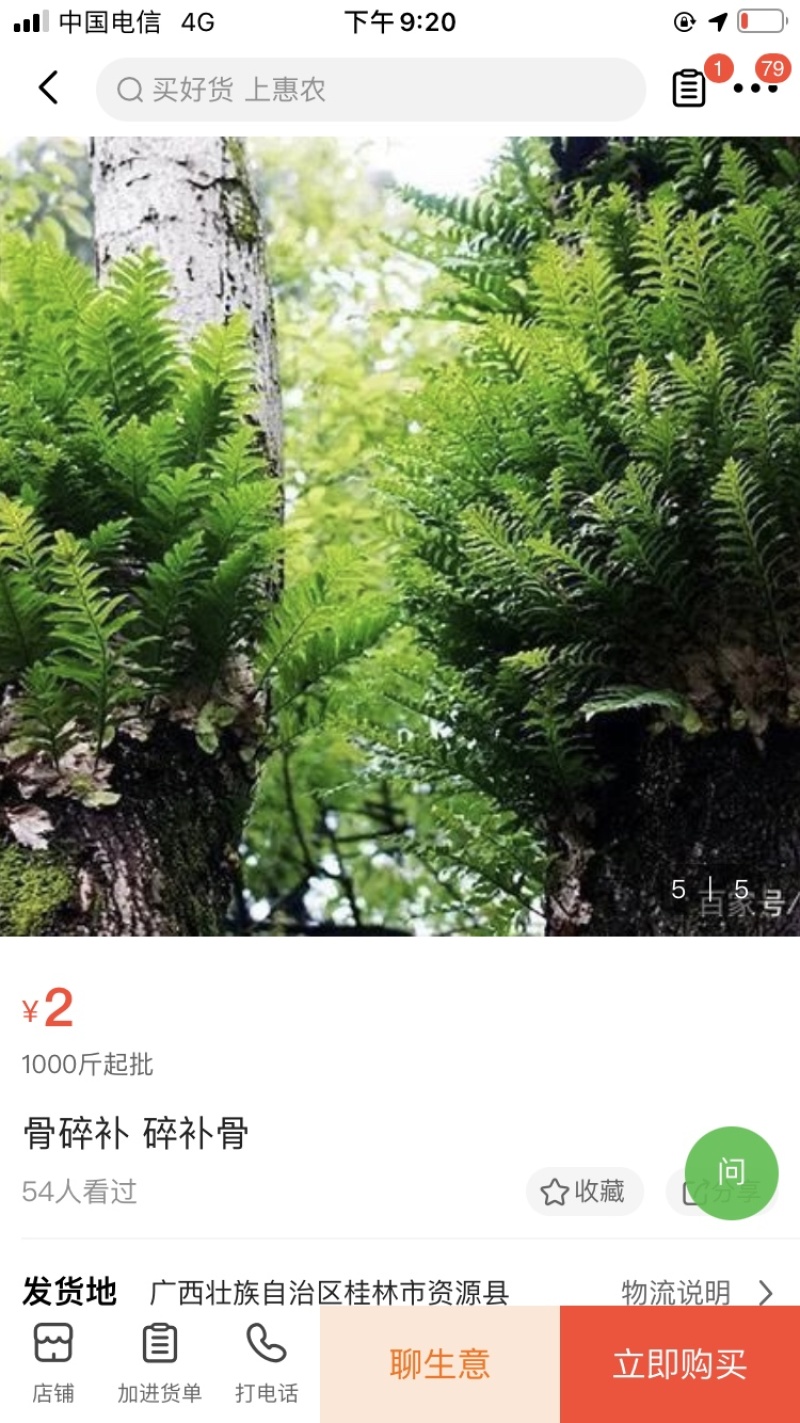 骨碎补