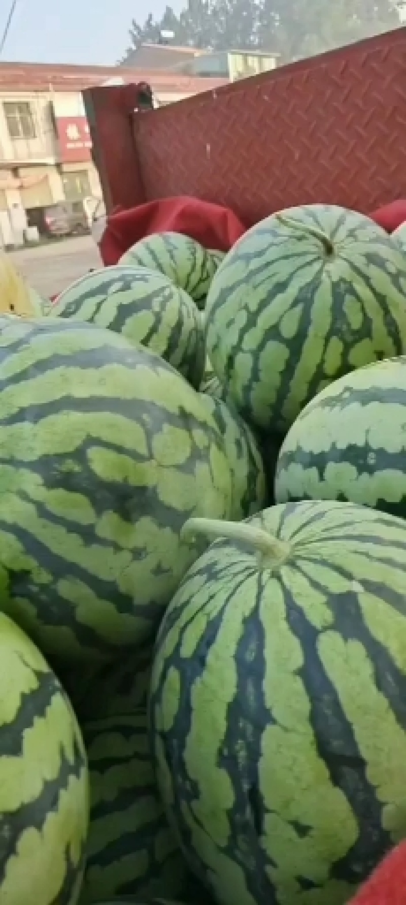 西瓜
