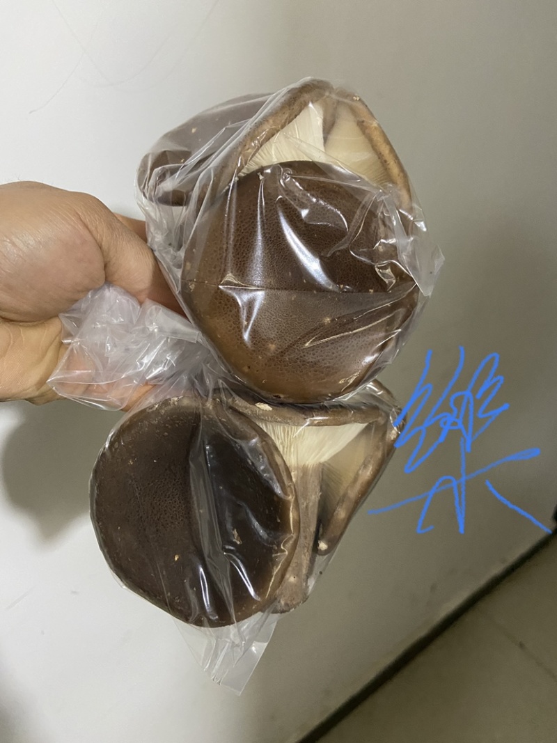 精品脆嫩鲜滑猪肚菇！