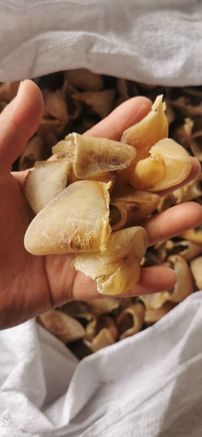 猪蹄甲包邮中药材猪退供应各种规格一手货源