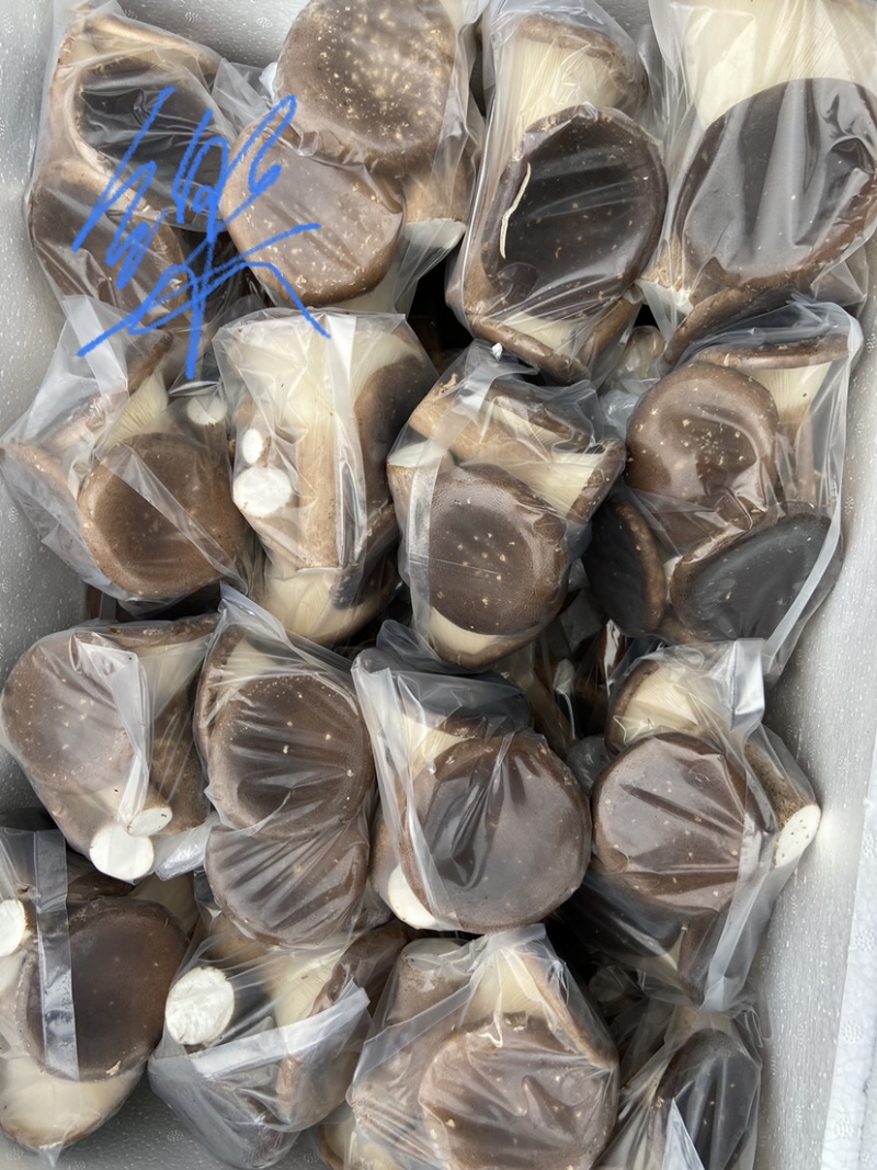 精品脆嫩鲜滑猪肚菇！