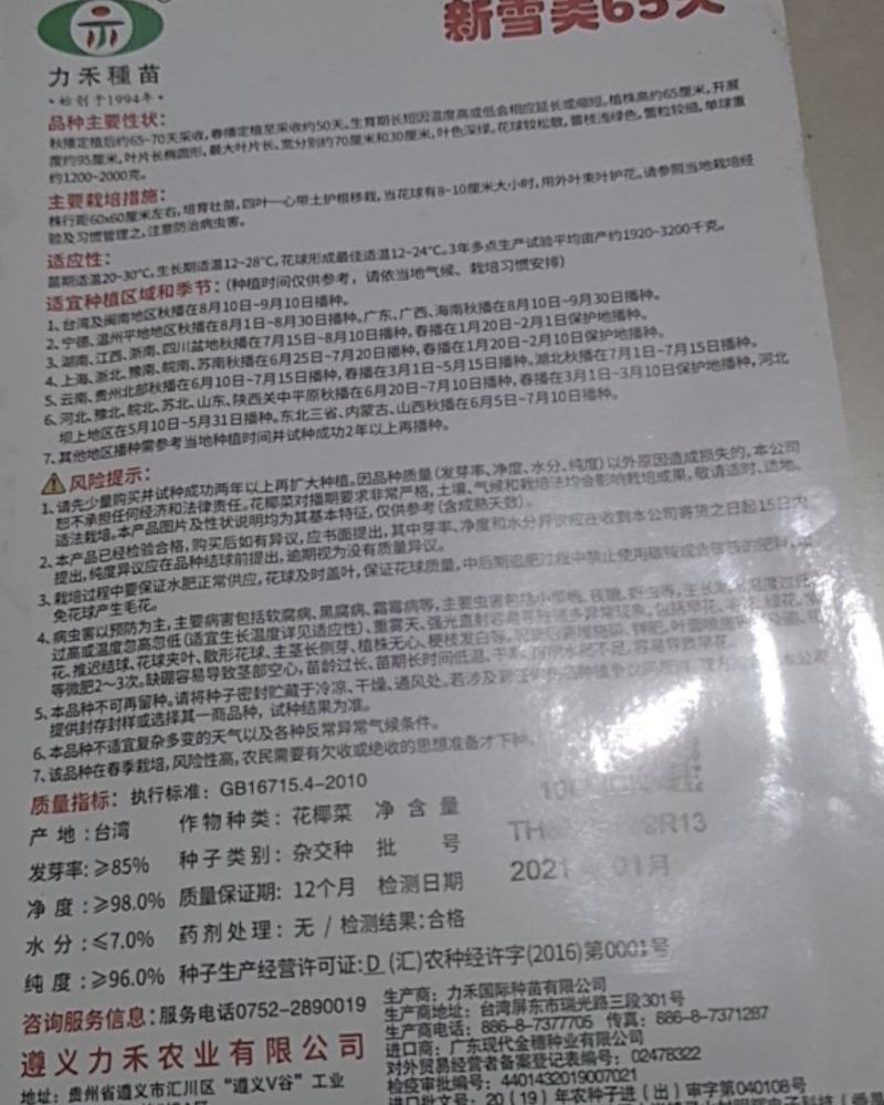 新雪美65菜花苗，大量预定中，质量保证，价格便宜