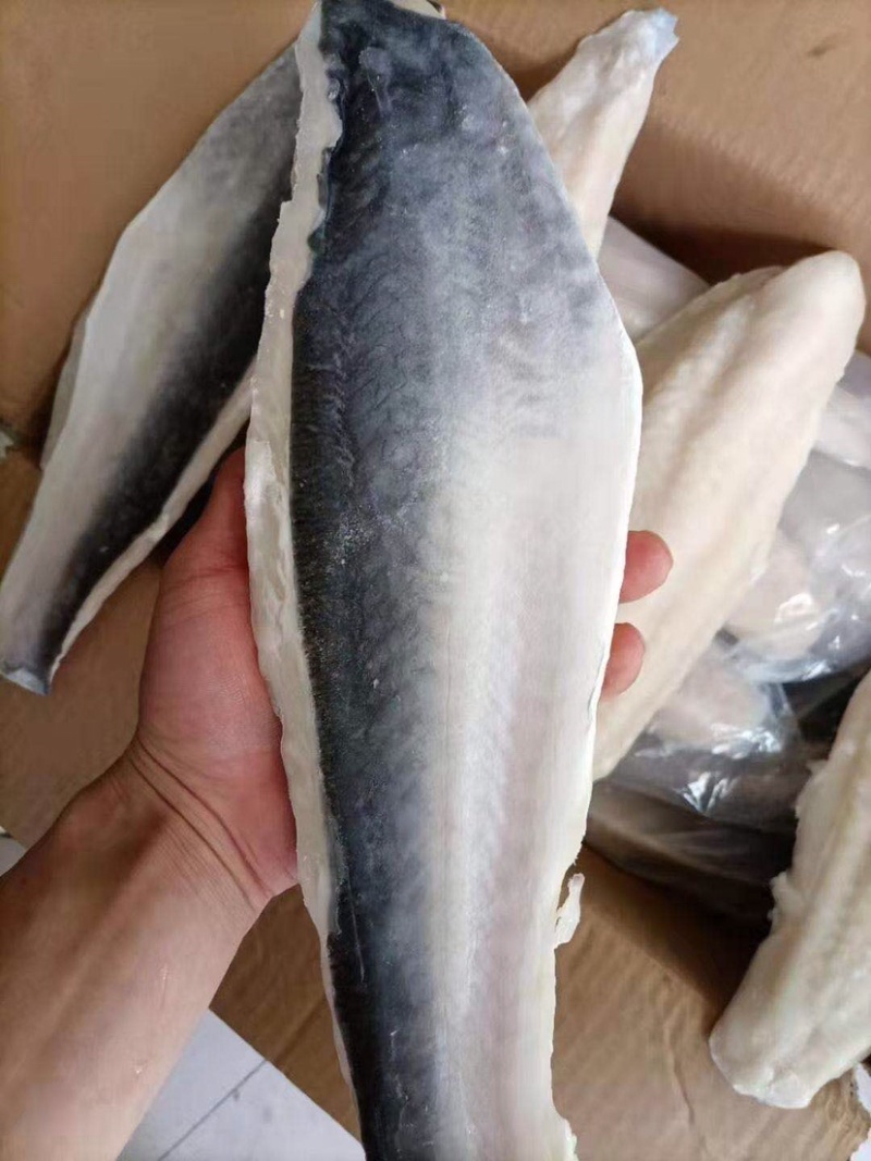 高品质巴沙鱼豆花鱼纸包鱼可用