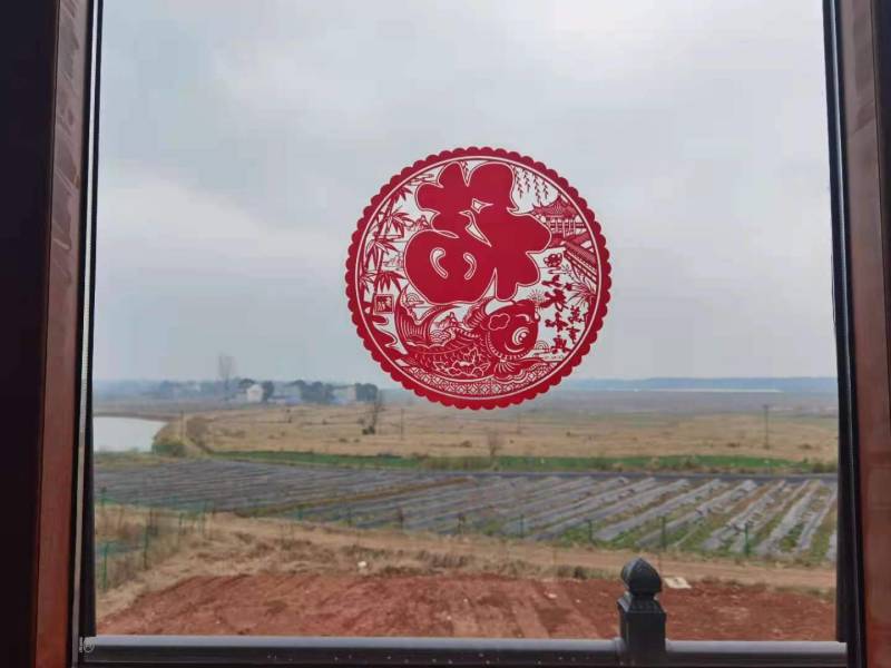 水浇地、旱地（地块临湖面，常年有水，适合种植，休闲农业）