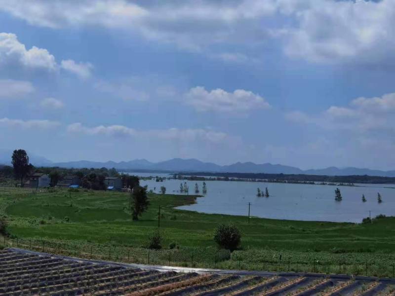 水浇地、旱地（地块临湖面，常年有水，适合种植，休闲农业）