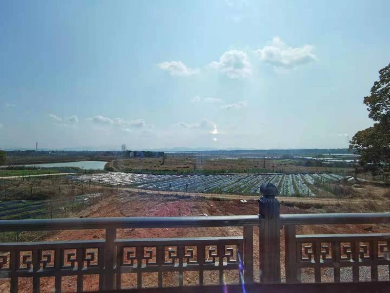水浇地、旱地（地块临湖面，常年有水，适合种植，休闲农业）