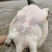 外塘散养生态鳖，健康活力十足，鲜活滋养包活