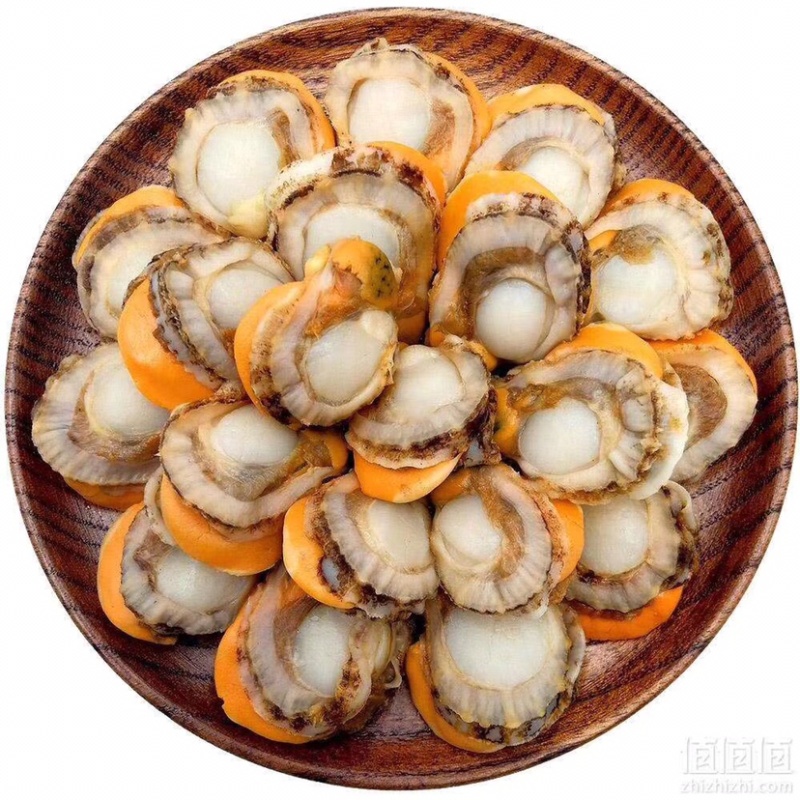 扇贝肉20-40-60-80