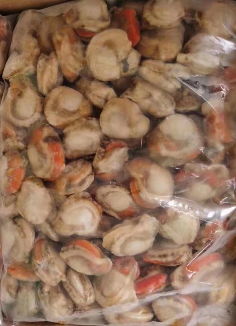 扇贝肉20-40-60-80